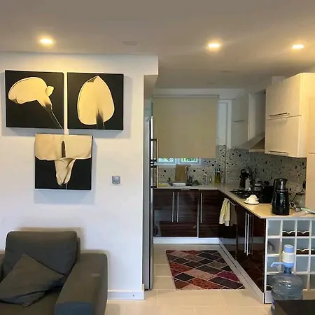 호텔 Alacati Da 3+1 Havuzlu Çeşme